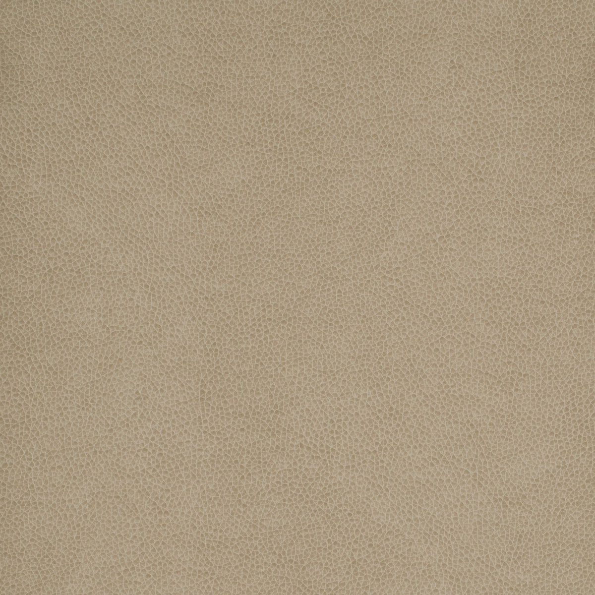 United Fabrics Tolstoy II WTY 112 Intrigue