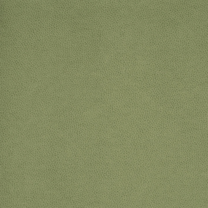 Square xlrg wty 113 tolstoy ii jade hr 2 5.jpg