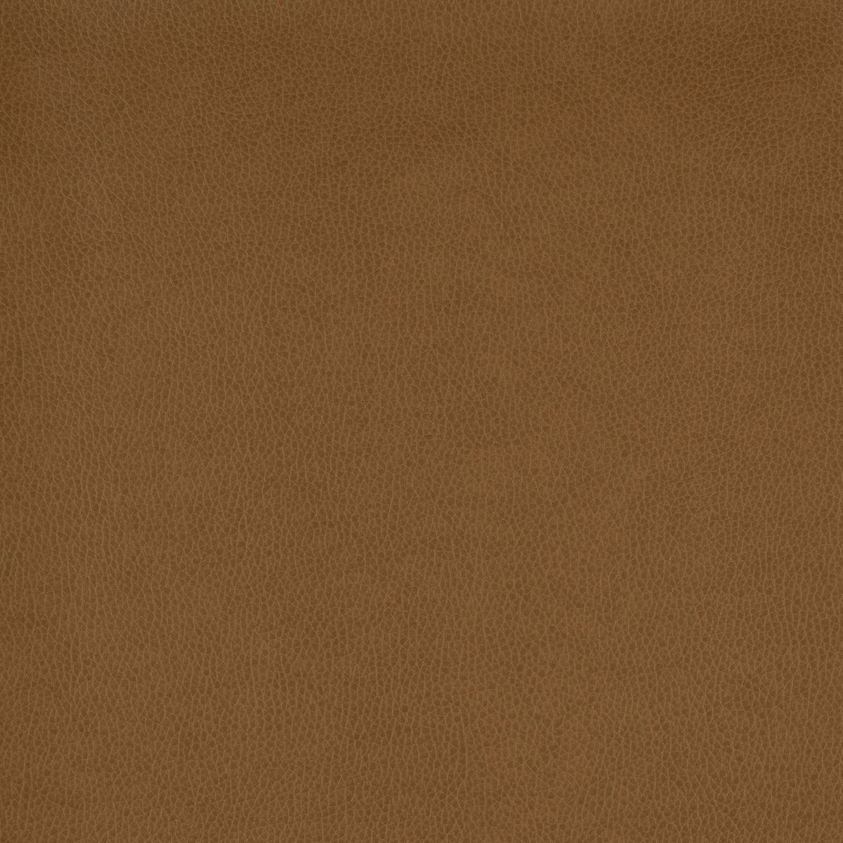 Square xlrg wty 122 tolstoy ii ram hr 2.jpg