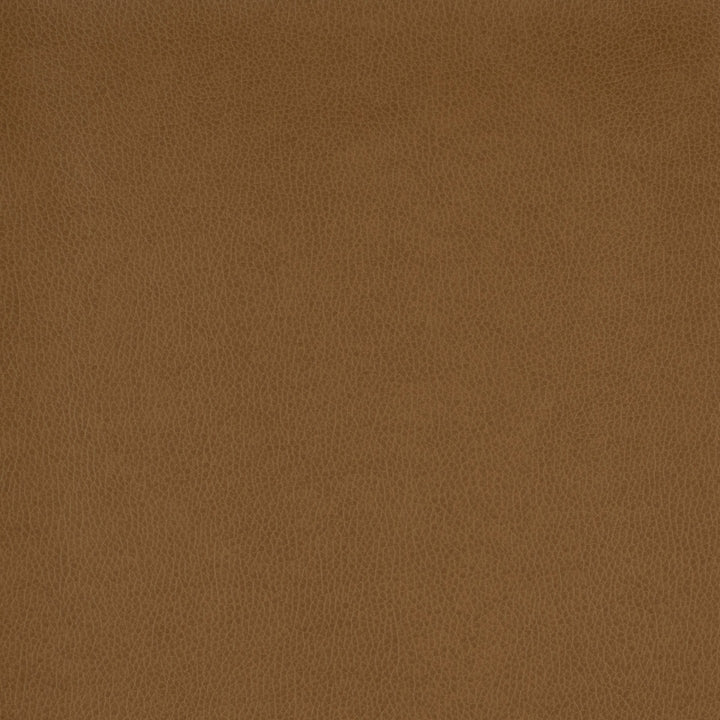 Square xlrg wty 122 tolstoy ii ram hr 2.jpg