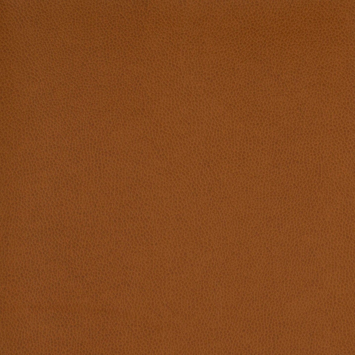United Fabrics Holmes 24 Chestnut