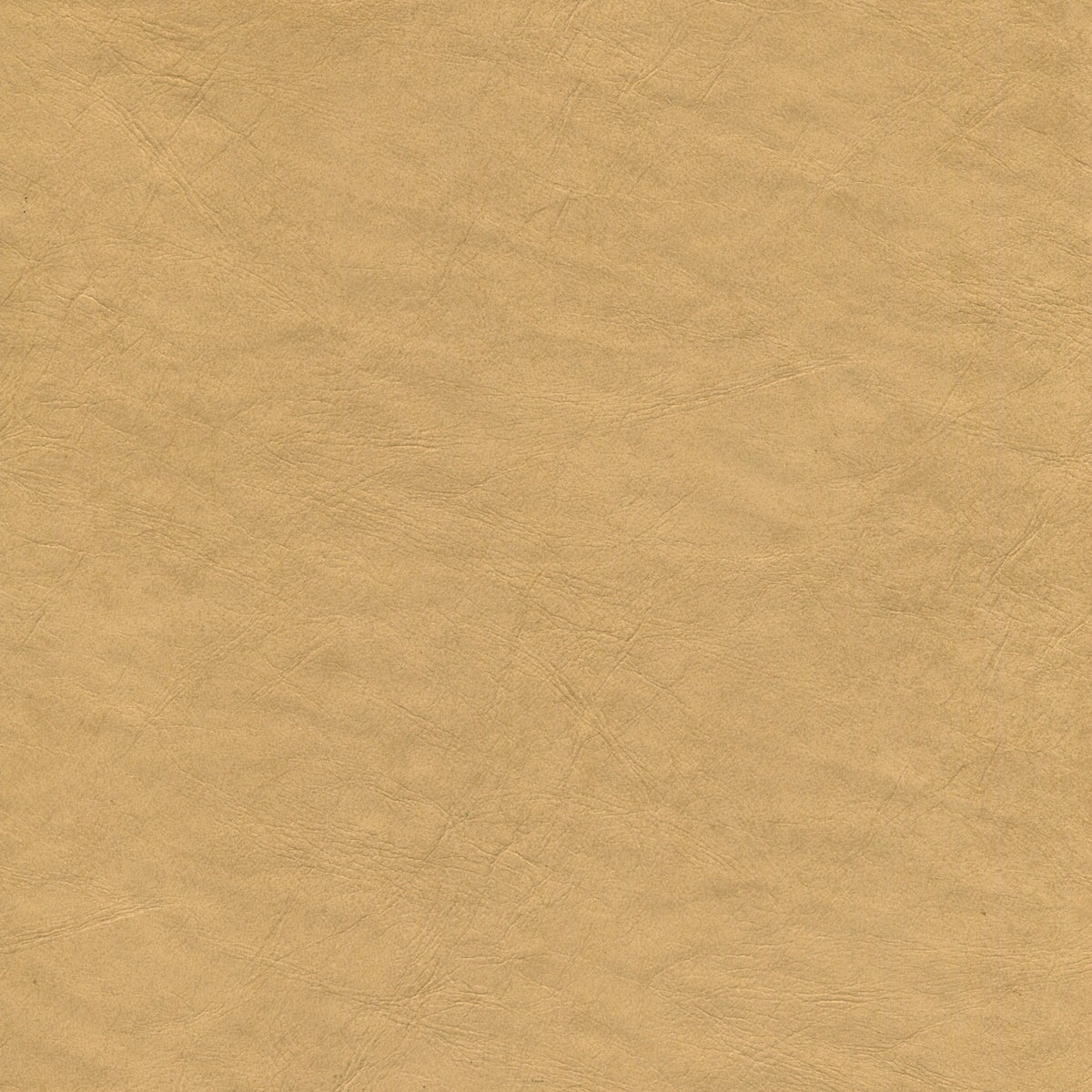 Square xlrg yorkshire 11 biscotti 2.jpg