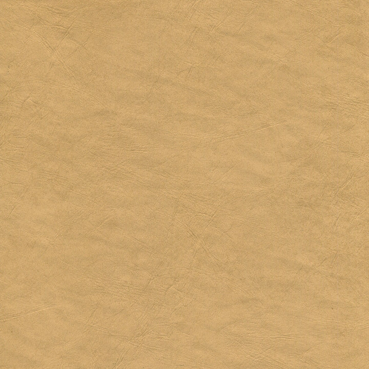 Square xlrg yorkshire 11 biscotti 2.jpg